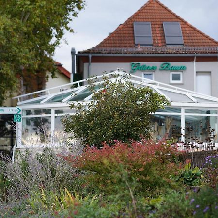 Hotel Zum grünen Baum Kelsterbach Exterior foto