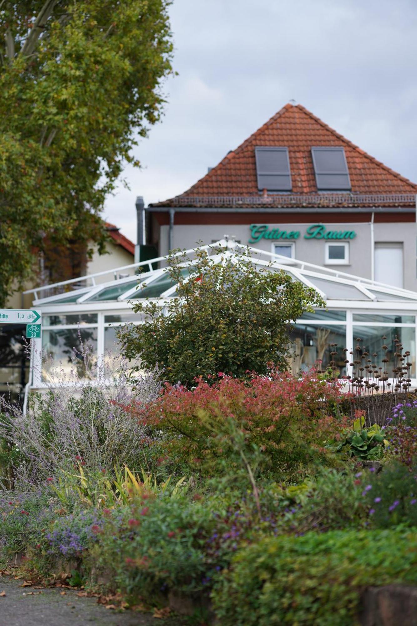 Hotel Zum grünen Baum Kelsterbach Exterior foto