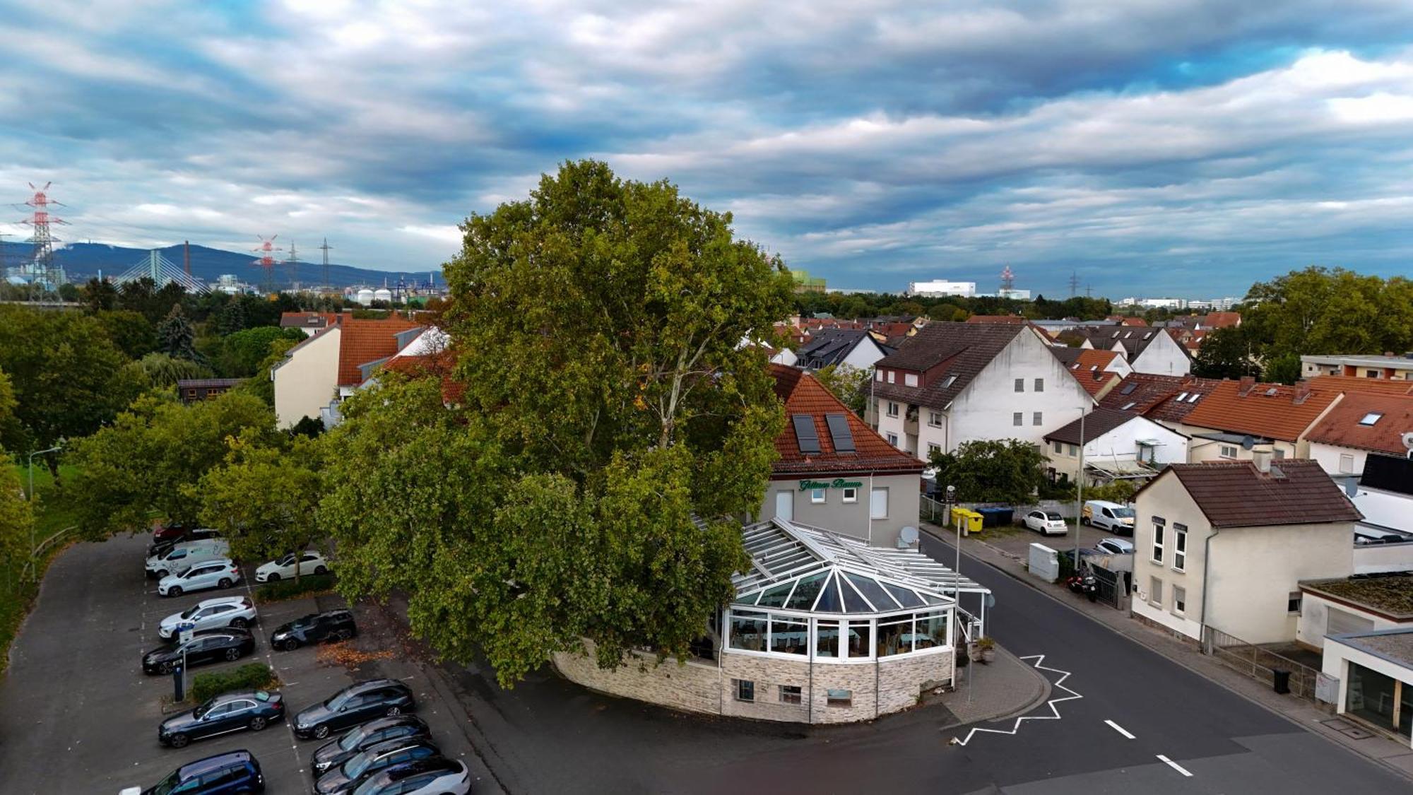 Hotel Zum grünen Baum Kelsterbach Exterior foto